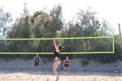 IMG_0470