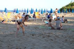 IMG_1105-scaled